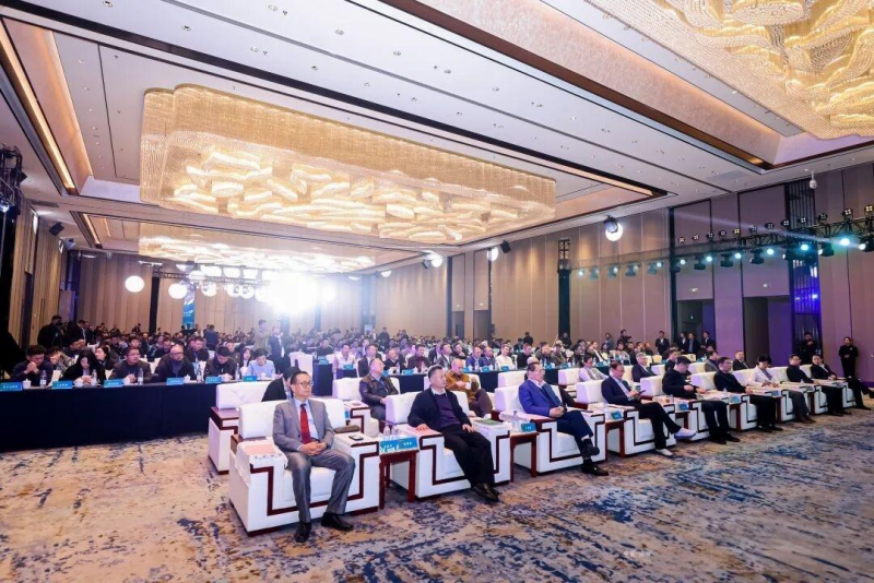 1764058512529411g40C.png 7ade0d92-c699-11f0-ad9b-5a9af9467f6c.png